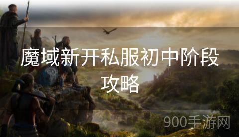 魔域新开私服初中阶段攻略