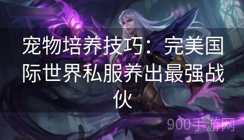宠物培养技巧：完美国际世界私服养出最强战伙