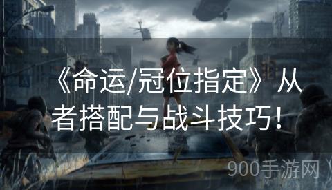 《命运/冠位指定》从者搭配与战斗技巧！